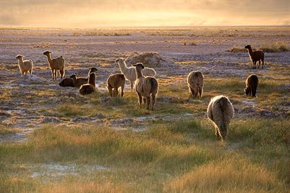 Turismo en America Latina - San Pedro de Atacama